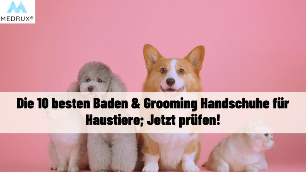 Handschuhe für Haustiere