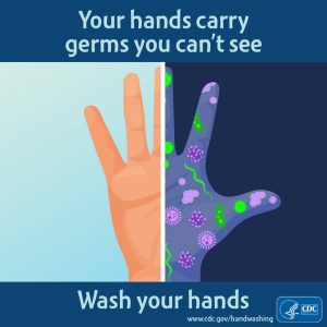 Hand Bacteria and Germs