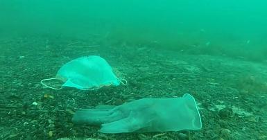 Biodegradable gloves in oceans