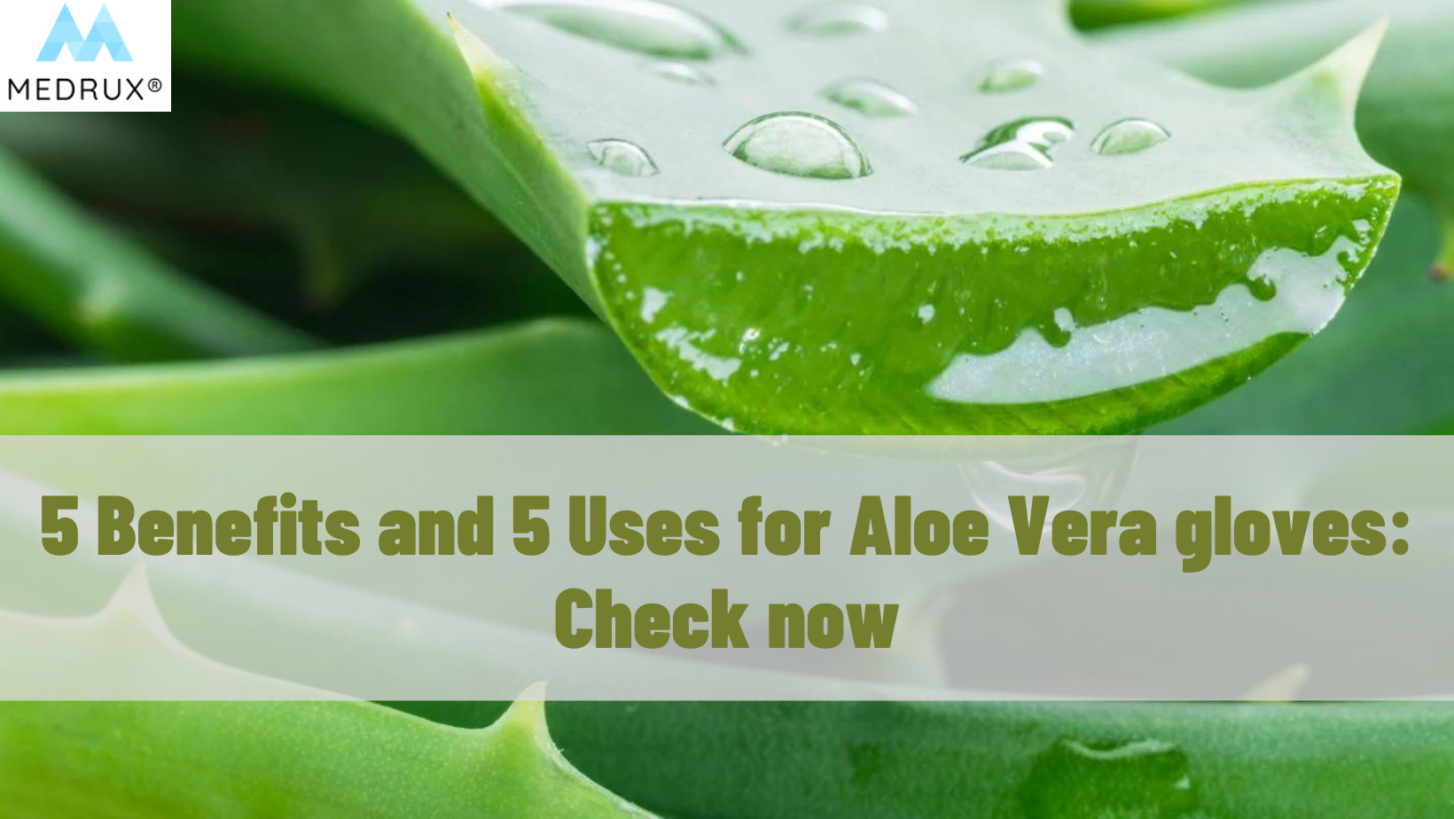 5 Benefits and 5 Uses for Aloe Vera gloves: Check now - Medrux