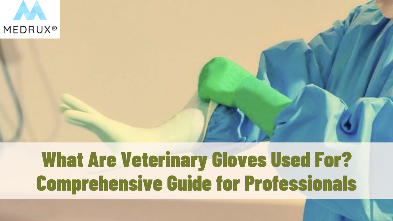What Are Veterinary Gloves Used For? Comprehensive Guide for