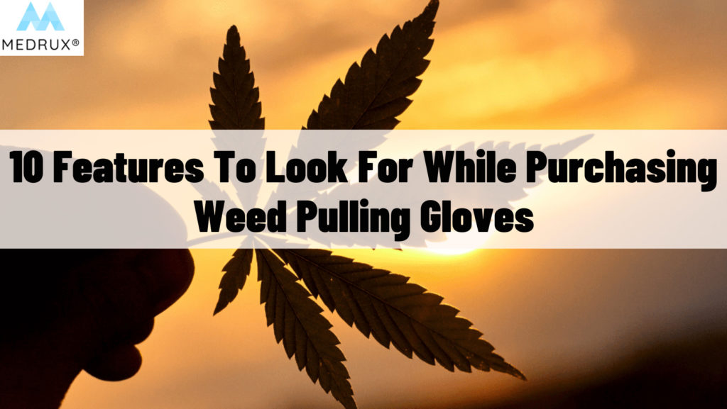 Weed-pulling gloves