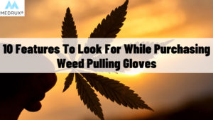 Weed-pulling gloves